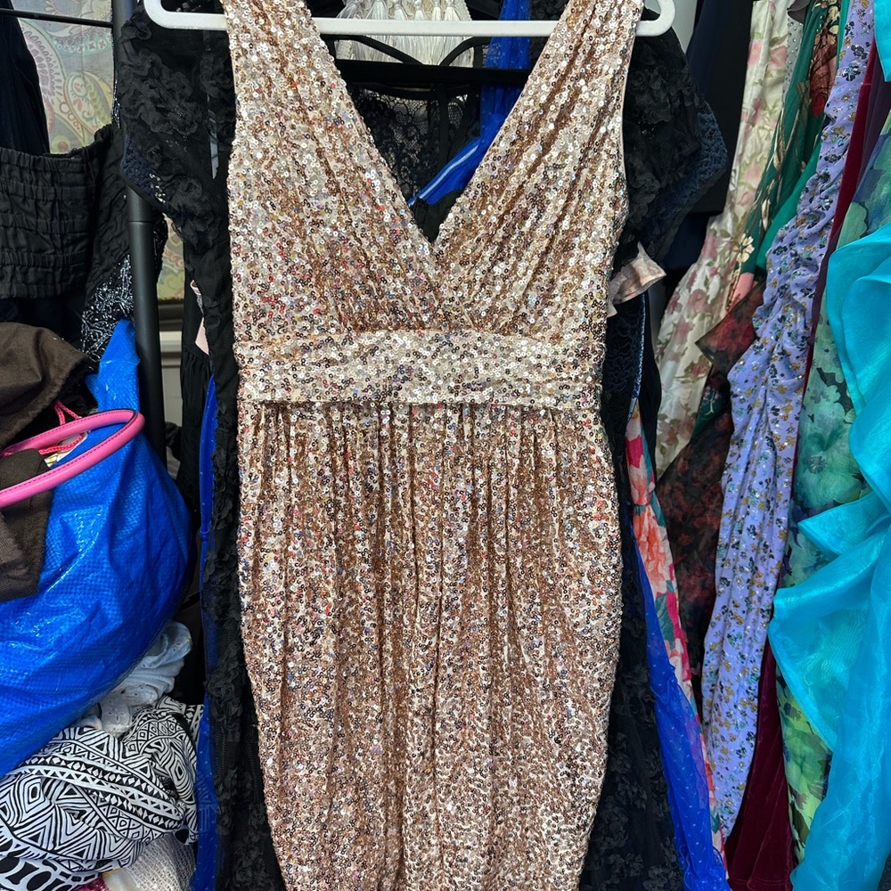 Badgley Mischka Blush sequins V neckline. Ruched waist glitzy and classic mini - Picture 6 of 16